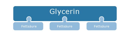 Speisefette - Glycerin-Baustein