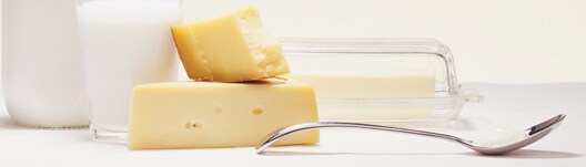 Speisefette - Milch, Butter & Käse